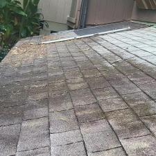 Paradise-Power-Washing-LLC-Restoring-Roofs-and-Tenant-Satisfaction-in-Waialuas-North-Shore 0